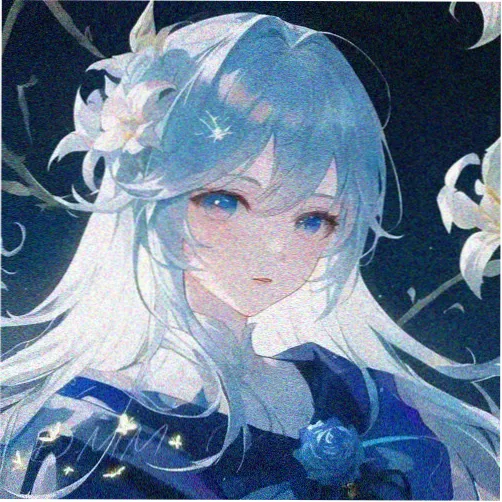 用户阿岚的头像